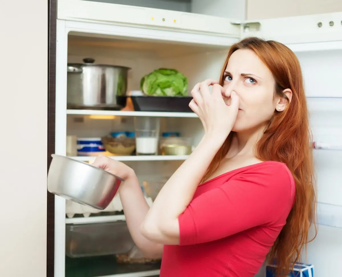 quitar olor congelador carne podrida - Cómo quitar el olor a comida podrida del congelador