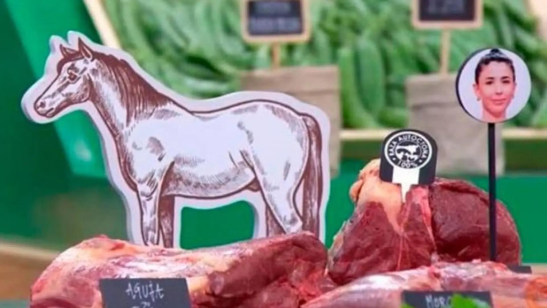 carne de caballo italia - Cómo se llama la carne de caballo en Italia