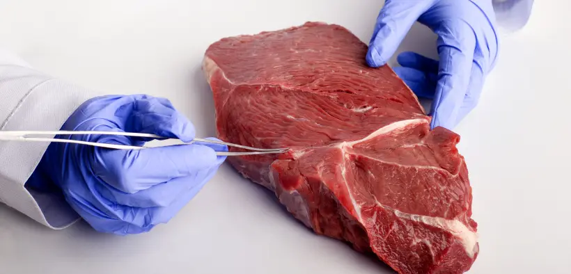 acido lactico en carnes - Cuál es el ácido que se encuentra en la carne