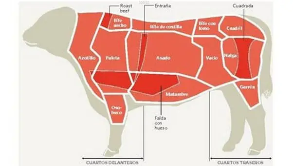 carne de res de donde proviene - Cuál es el origen de la carne de res