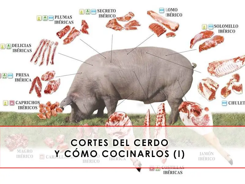 cortes de carne de cerdo - Cuál es la carne más jugosa del cerdo