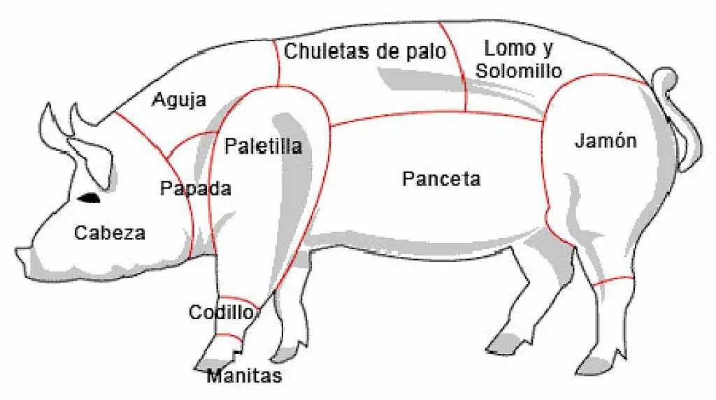 carne de cerdo partes del animal - Cuáles son las partes del cerdo