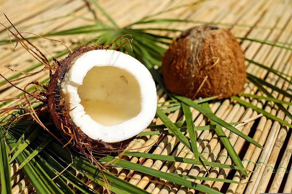 como sacar la carne del coco - Cuáles son los beneficios de comer coco