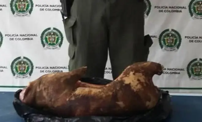 carne de guagua - Cuándo es gratis el Bono Residente Canario