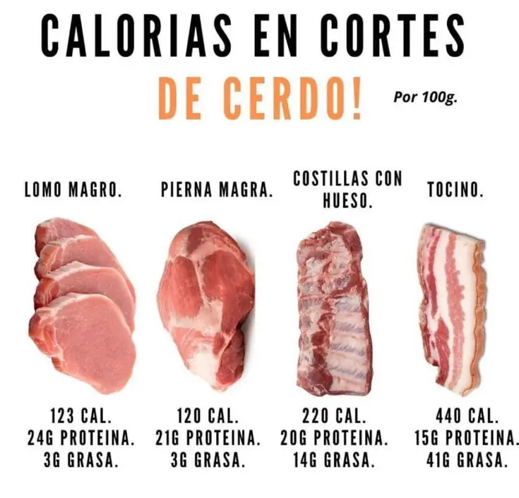 carne de cerdo magra informacion nutricional - Cuántas proteínas tiene el magro de cerdo