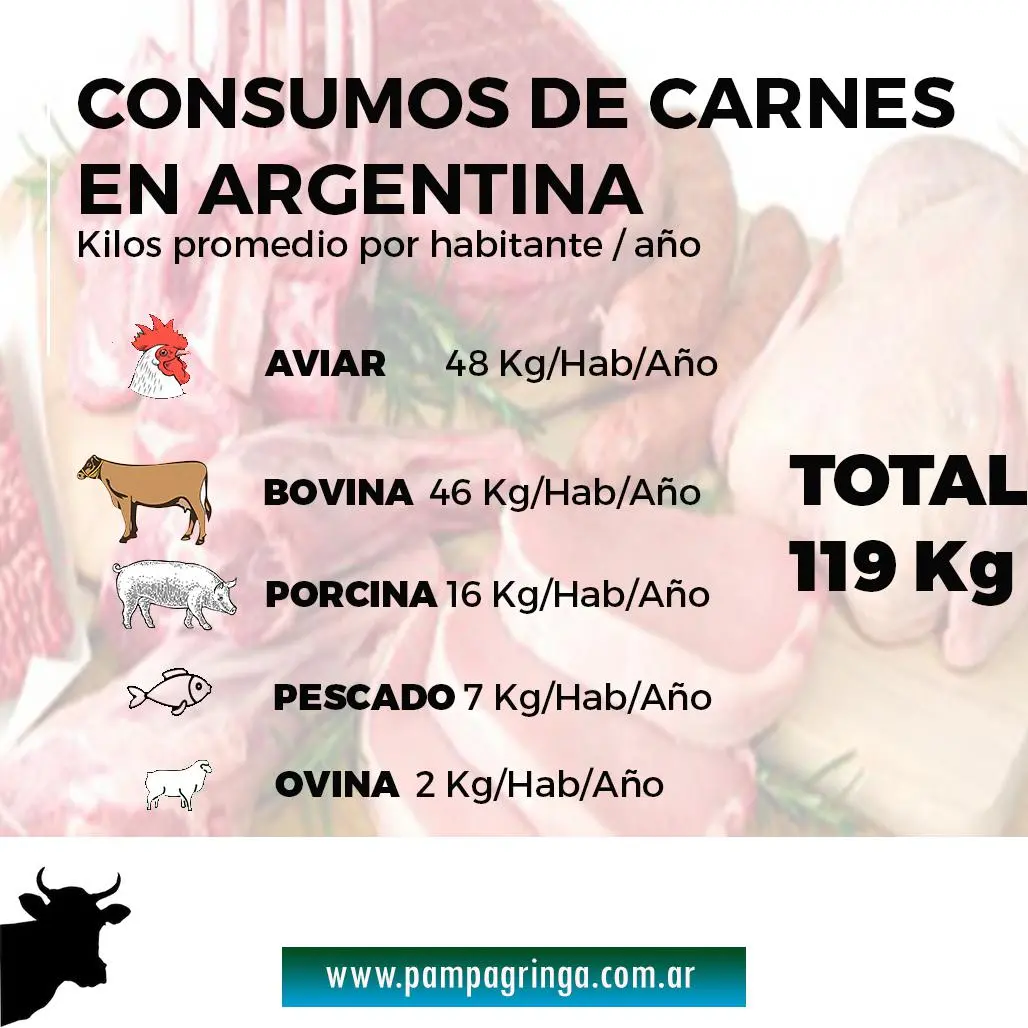 cuántos kilos de carne - Cuántos kilos de carne para 50 personas