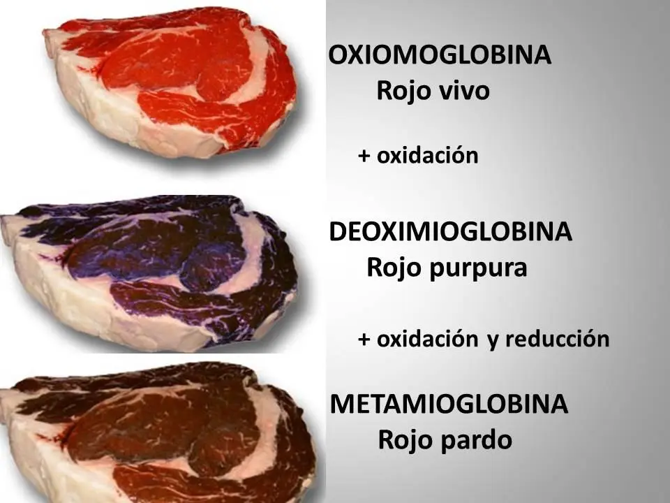 carne color marrón - Por qué la carne de res se pone café