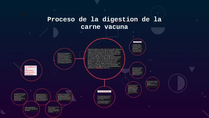 digestión de la carne - Por qué la carne es difícil de digerir