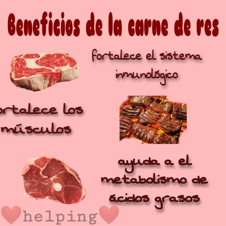 beneficios de la carne de res - Qué beneficios tiene comer carne de ternera