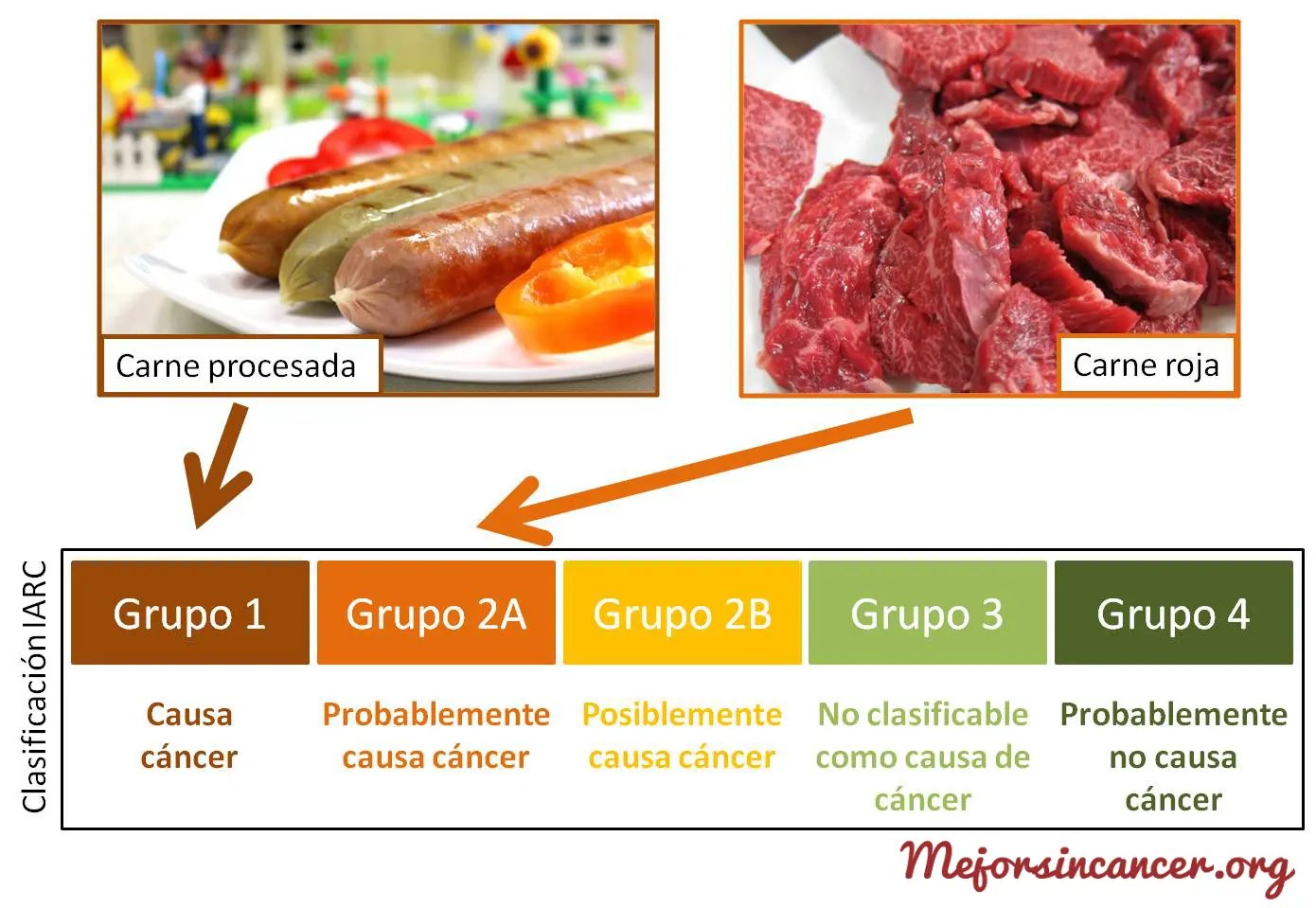 comer carne con cancer - Qué carnes puede comer una persona con cáncer