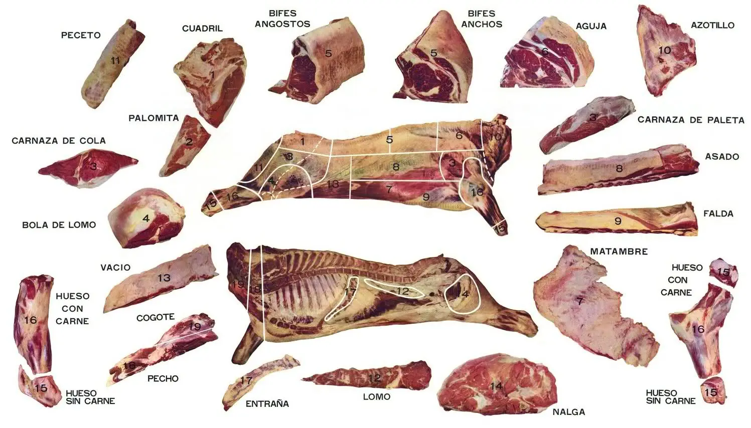 falso vacio carne - Qué corte reemplaza al vacío