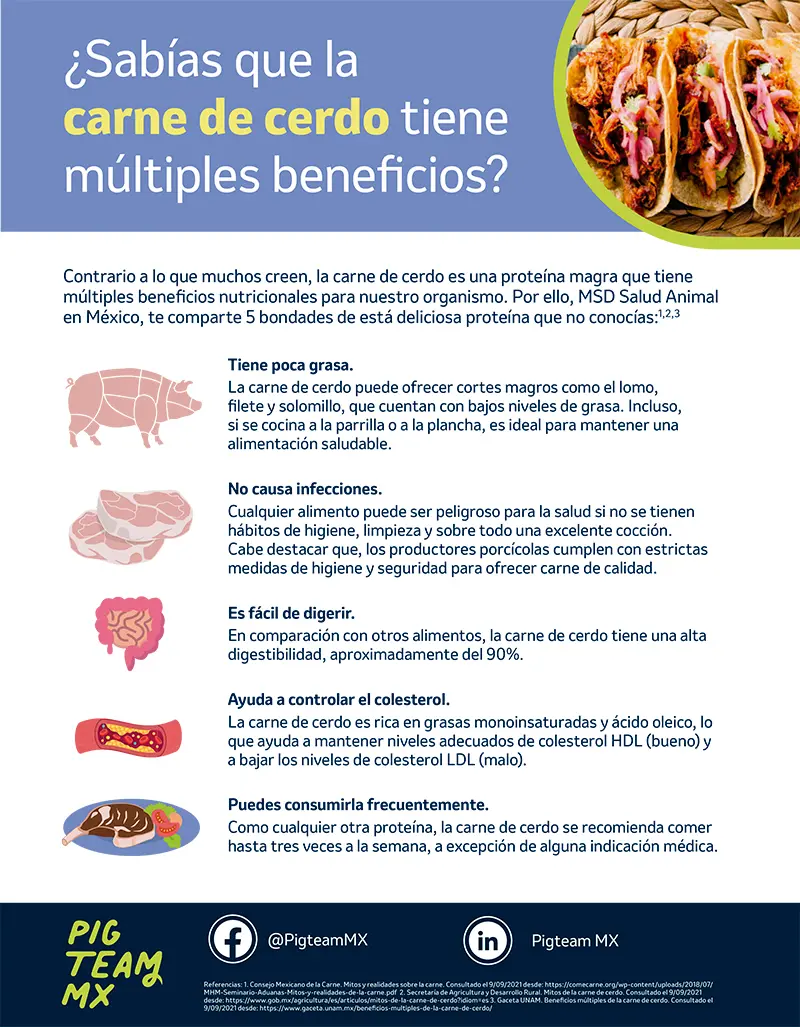 beneficios carne cerdo - Qué efectos tiene la carne de cerdo