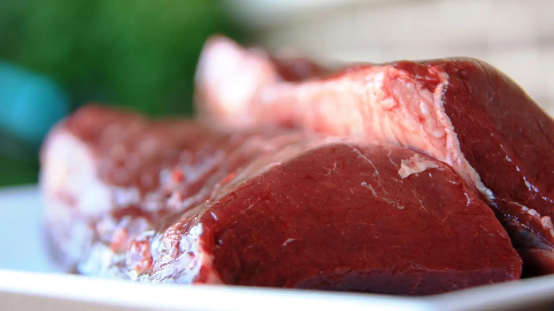 enfermedades de la carne de caza - Qué enfermedades transmite la carne