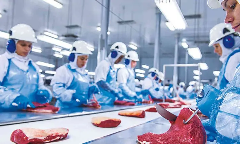 distribucion de carne - Qué es la cadena productiva de la carne