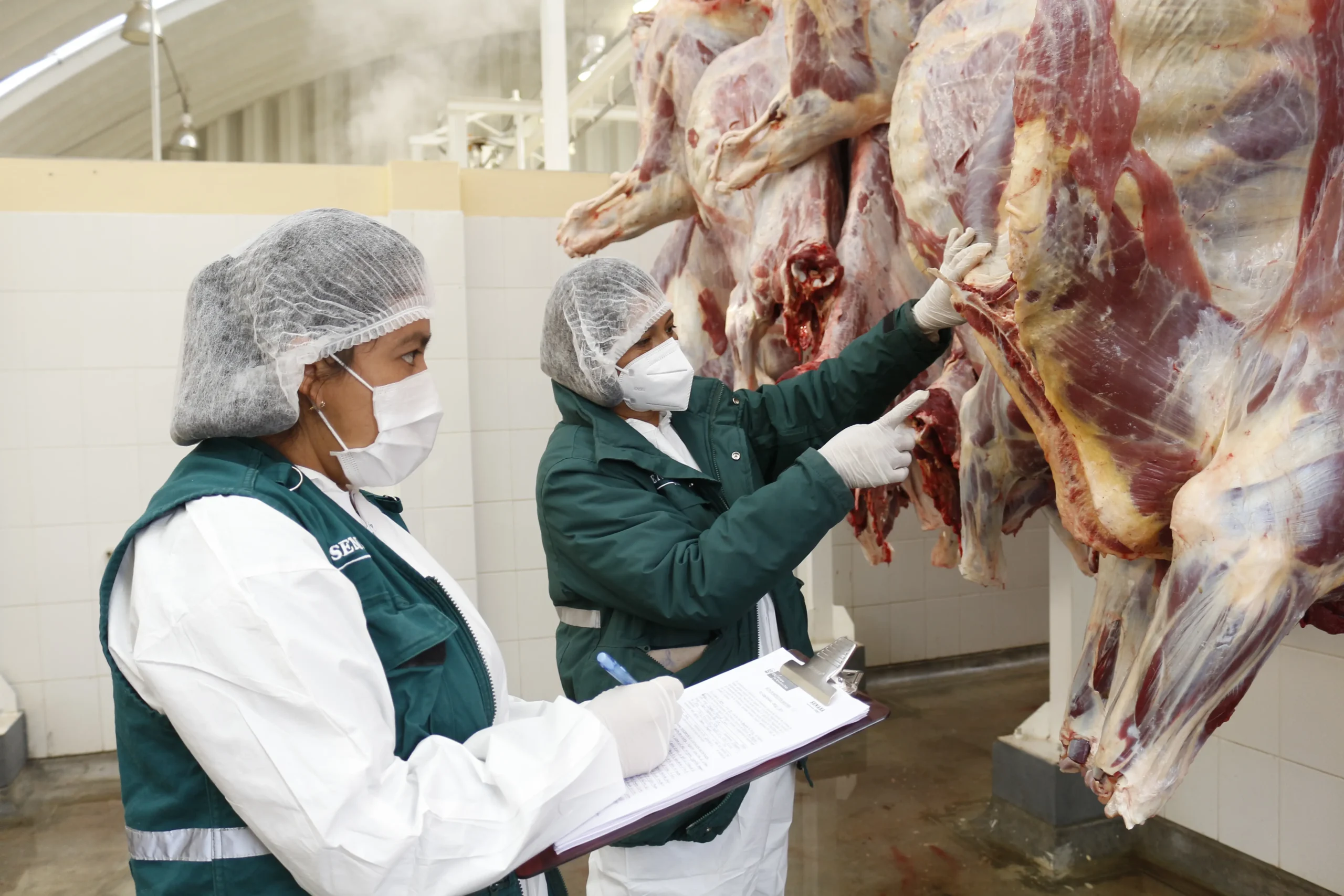 carne de matadero - Qué es un matadero frigorífico