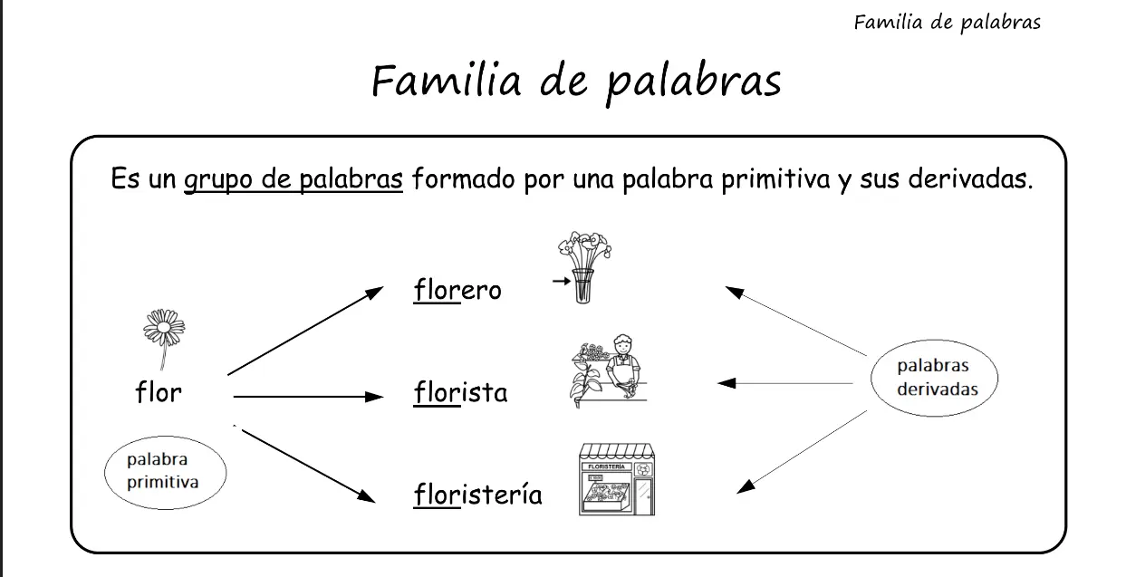 familia de palabras de carne - Qué familia de palabras