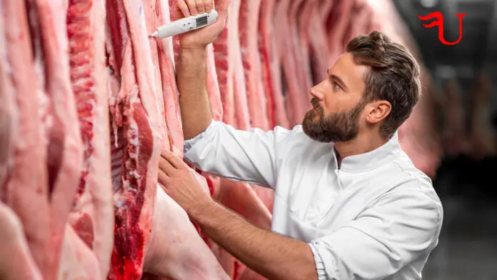 curso de carniceria y elaboracion de productos carnicos - Qué hace un operario de producción de alimentos carnicos