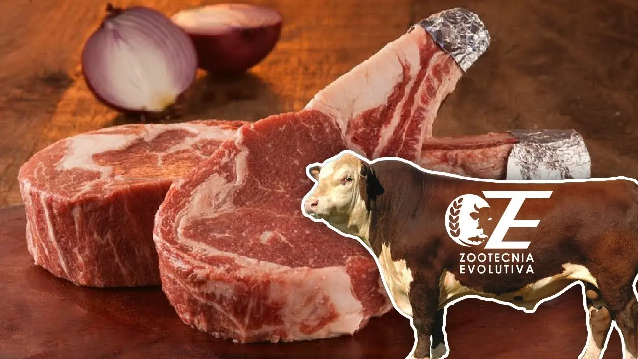 carne de ganado bovino - Qué incluye ganado bovino