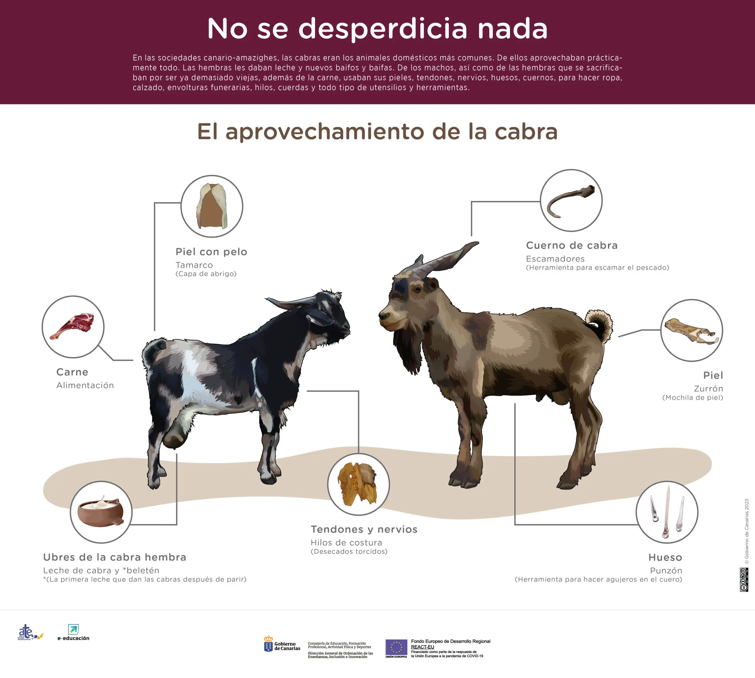 beneficios de la carne de cabra - Que nos da la cabra