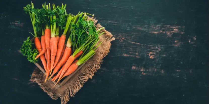 carnes con vitamina a - Qué produce la falta de vitamina A en el cuerpo