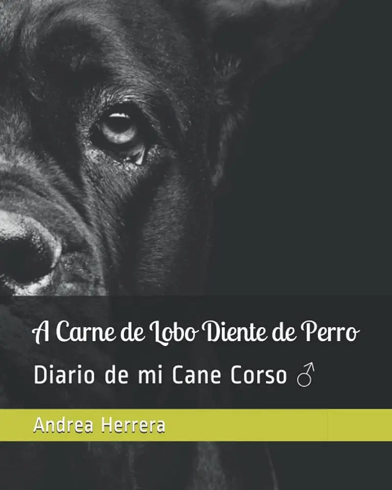 a carne de lobo diente de perro - Qué quiere decir a carne de lobo diente de perro